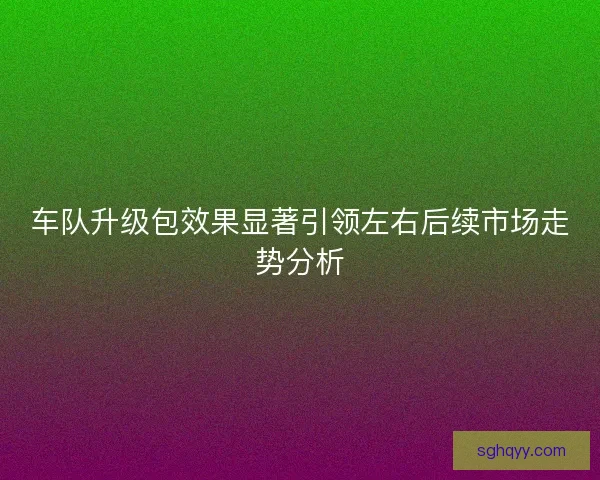 车队升级包效果显著引领左右后续市场走势分析